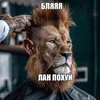 yesvrz