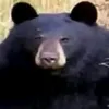 minpek4