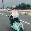 Indri Gerhana