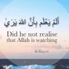 user0245602