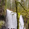 Oregon🌲naturaleza