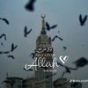 Ahmad Raza 4