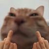mangycarl