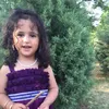 daingay.hadar
