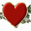 user7731195618621