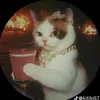 rub_sch