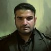 shava_gp