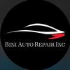 BiniAutoRepair