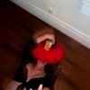 angelsgirl444
