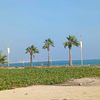 alshahry441