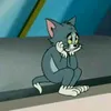 lz.ng_