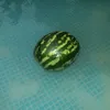 smertmoa_89