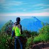 muhammadalwi_74