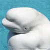 Daily uploader