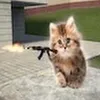 notmasha0