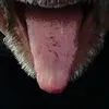 stefano_mondini