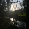 jacqui_thompson13