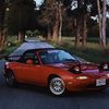 ssweeeney51