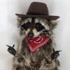 stayfunnyflowers