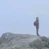 alitron69