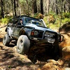 untamed4wd