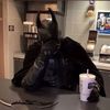 brucewaynesapplejuice
