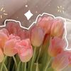 imeldaong__