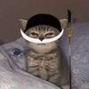ballscratcher