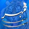 momin00786