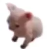 ko_bej