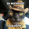 nikitkafox54