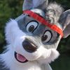 wolfpuptk