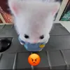 ntntuyen00