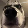 hellabove03