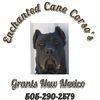 enchantedcanecorsos