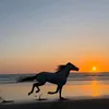 tienlatatca789