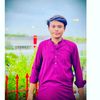 hurrerairfan