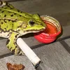 drako1408
