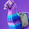 stupidllama8