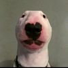 johnnied123