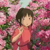 maizamo2