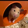 Winnie