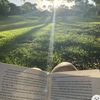 idratherbereading88