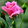 user5eqfxeut1z