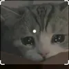 phambao_2403