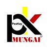 pk_ndungu