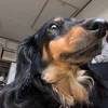 userernsbbtis6