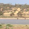 kulpandiya