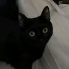 suzanne_12410
