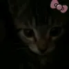 lllollla_lll